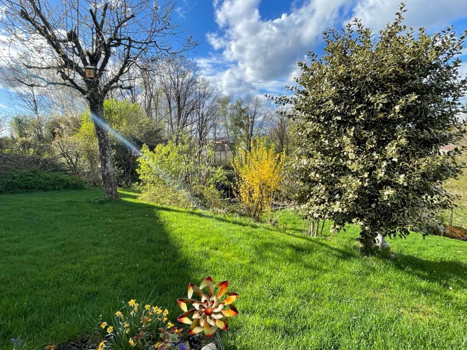 Zumglueckfrei Appartement Passau Buitenkant foto
